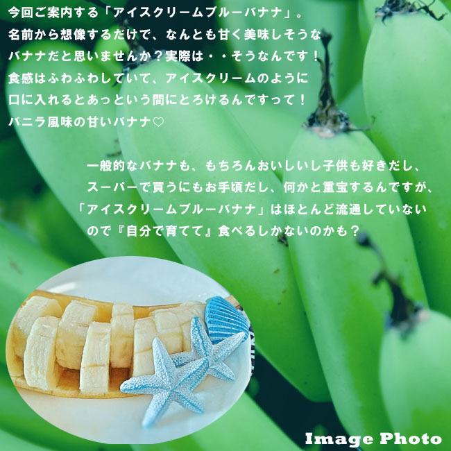 バナナ アイスクリームブルーバナナのイメージ