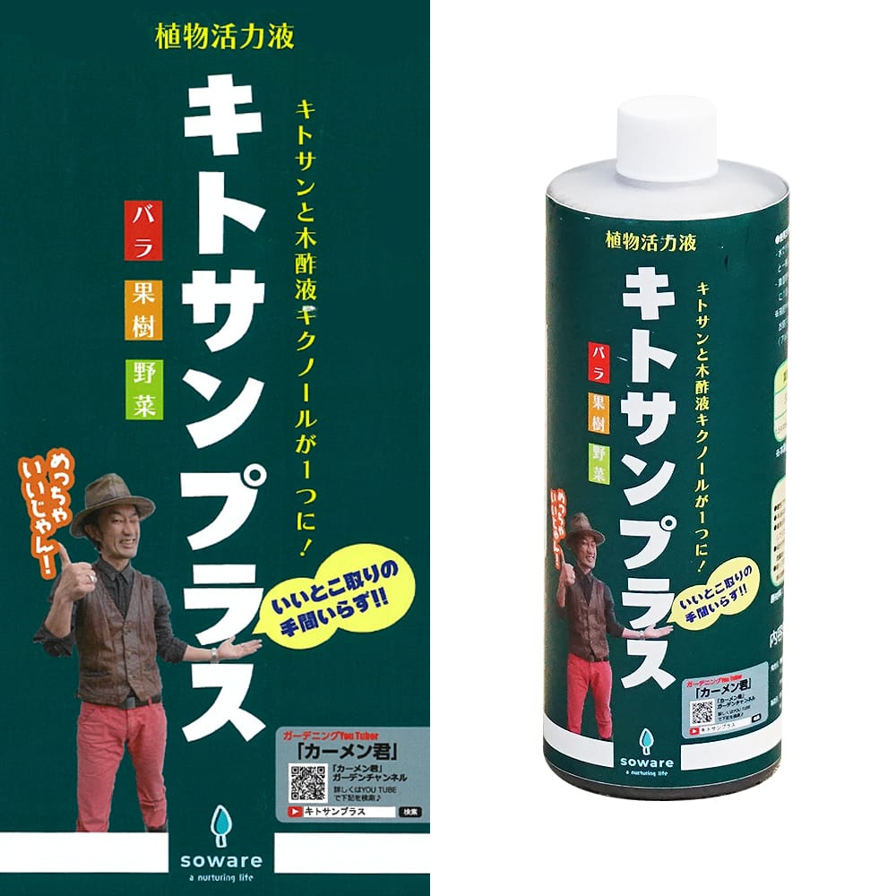 民族植物学　原理と応用