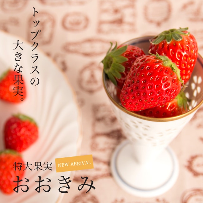 苗 販売 苗木部 By 花ひろばオンライン