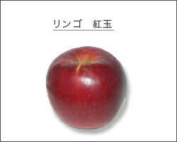 リンゴ 紅玉