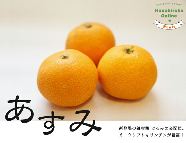 柑橘 タンゴール あすみ 苗 通販 苗木部 By 花ひろばオンライン