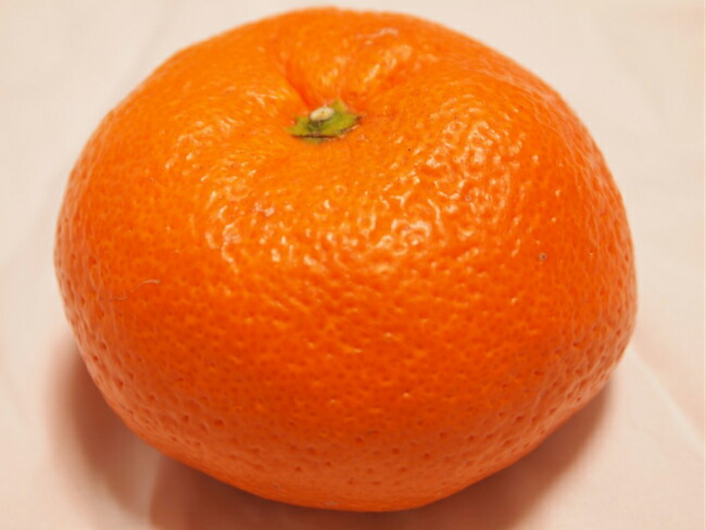柑橘 みはや 1
