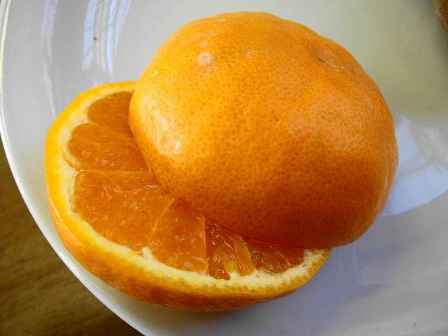 柑橘 たまみ 3