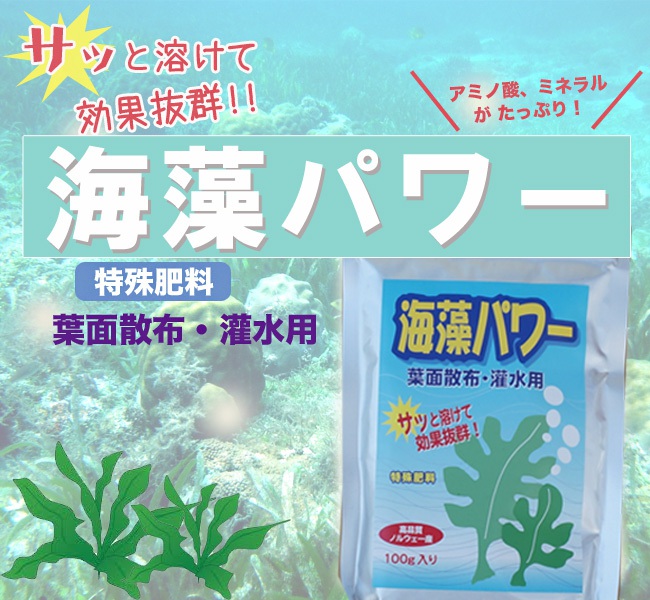 川合肥料 海藻系活力材 海神 100g×5(・同梱) - 園芸用品