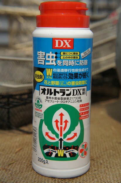   オルトランDX粒剤
～殺虫剤～
