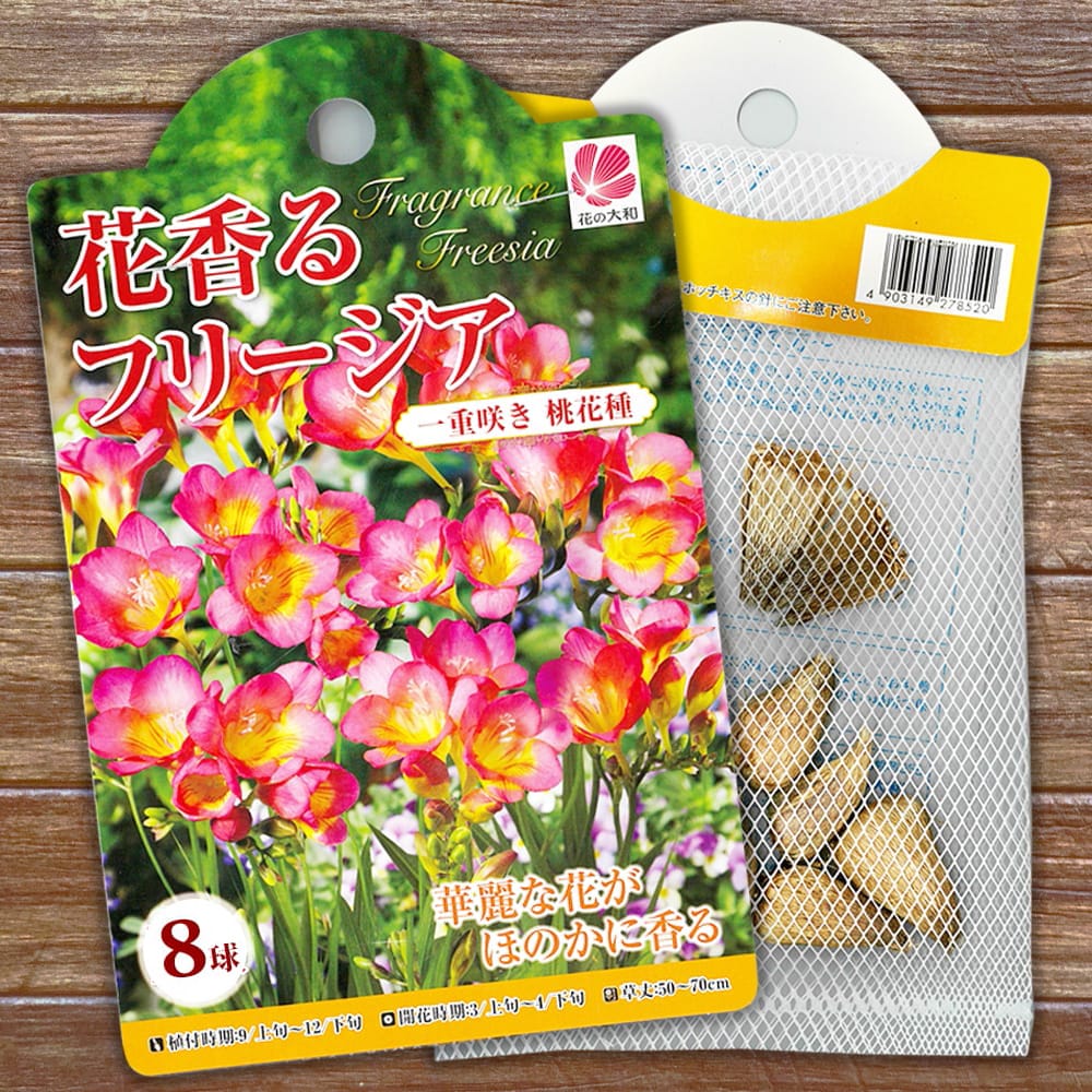 フリージア サンドラ 苗 販売 苗木部 By 花ひろばオンライン