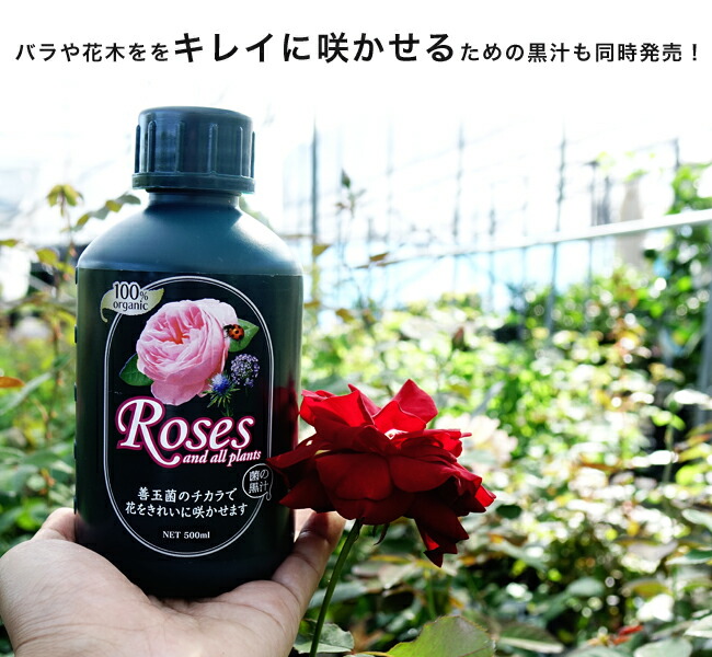 連作障害を防ぐ液肥 菌の黒汁 ローゼズ バラや花木用 キレイな花を咲かせる 500ｍｌ キンノクロジル 善玉菌培養液 有機液体堆肥 苗木部 本店 By 花ひろばオンライン