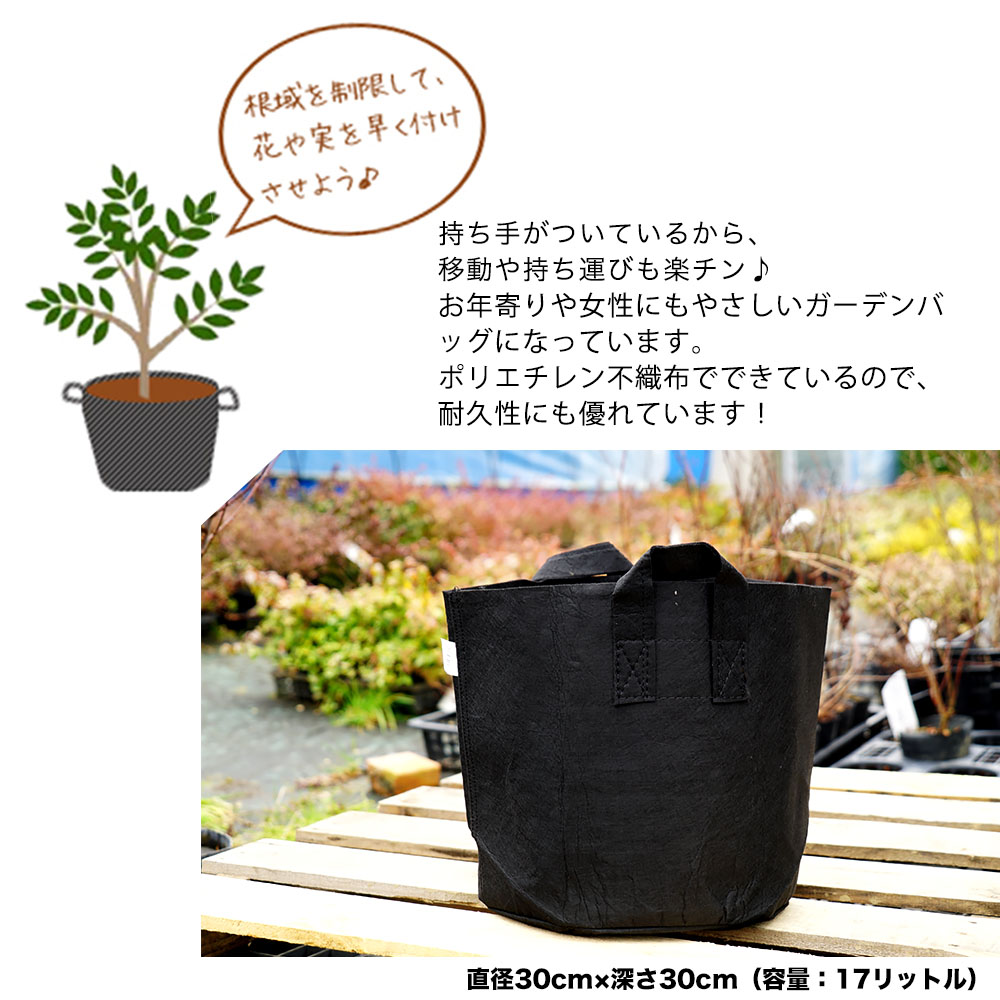 根域制限ガーデンバッグ （直径30cm×深さ30cm）