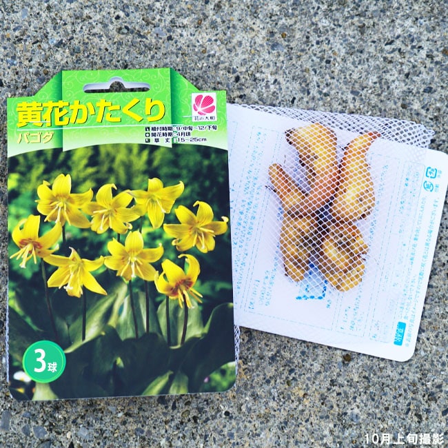 カタクリ 黄花カタクリ 苗 販売 苗木部 By 花ひろばオンライン