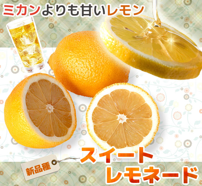 柑橘 スイートレモネード 