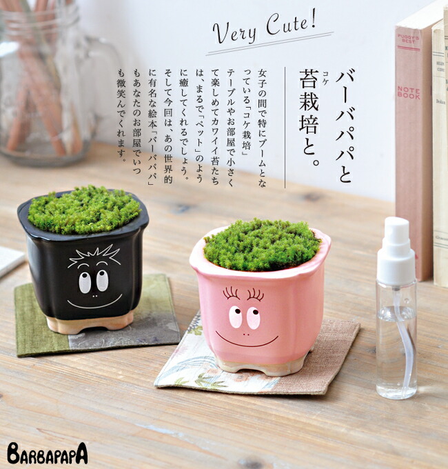 バーバパパの苔栽培セット コケ インテリアプランツ コケ玉 観葉植物 苗木部 本店 By 花ひろばオンライン