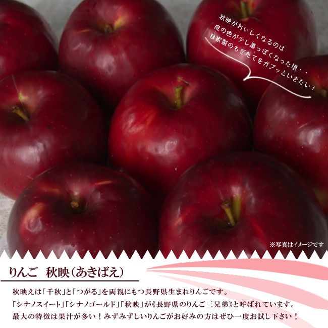 リンゴ 秋映 1