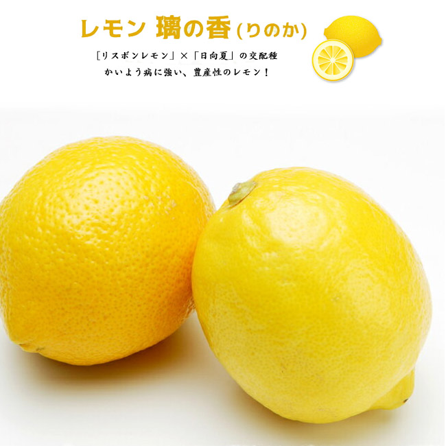 新品種 璃の香(りのか) 国産グリーンレモン 箱込み5kg
