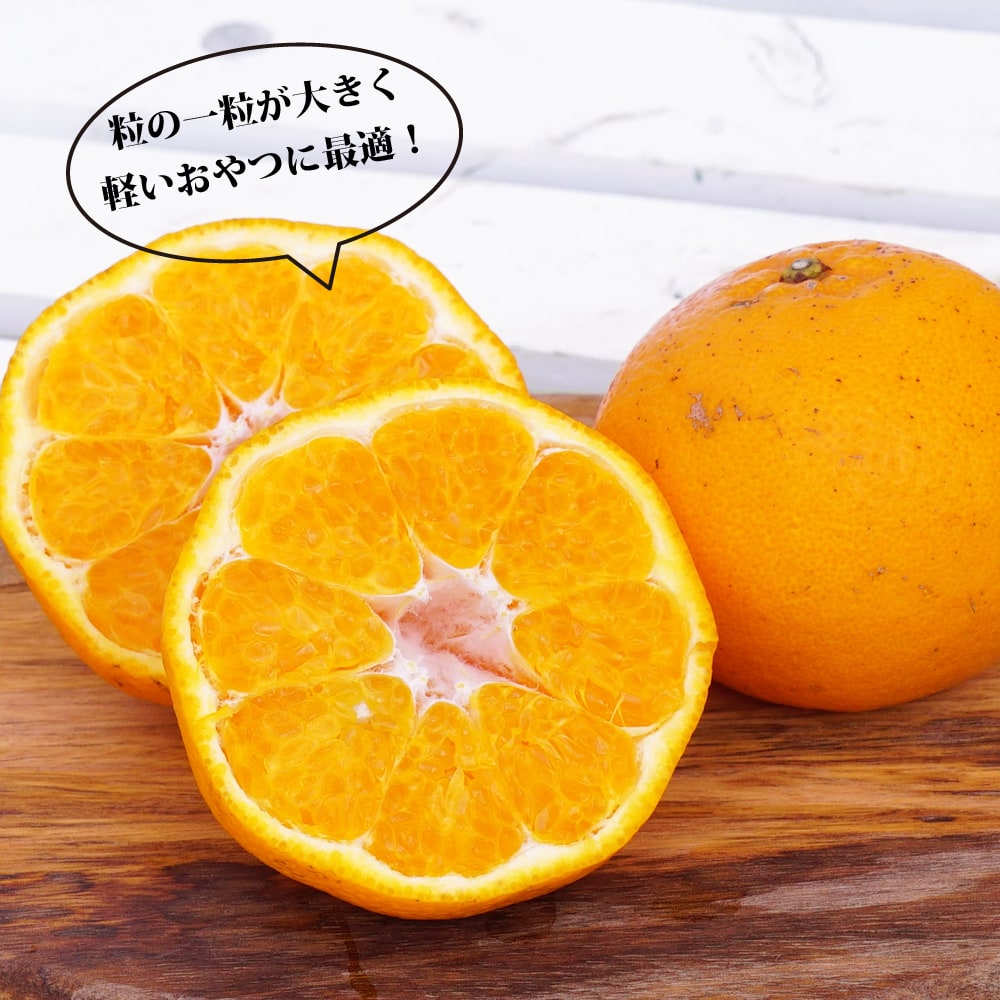 柑橘 はるみ 2