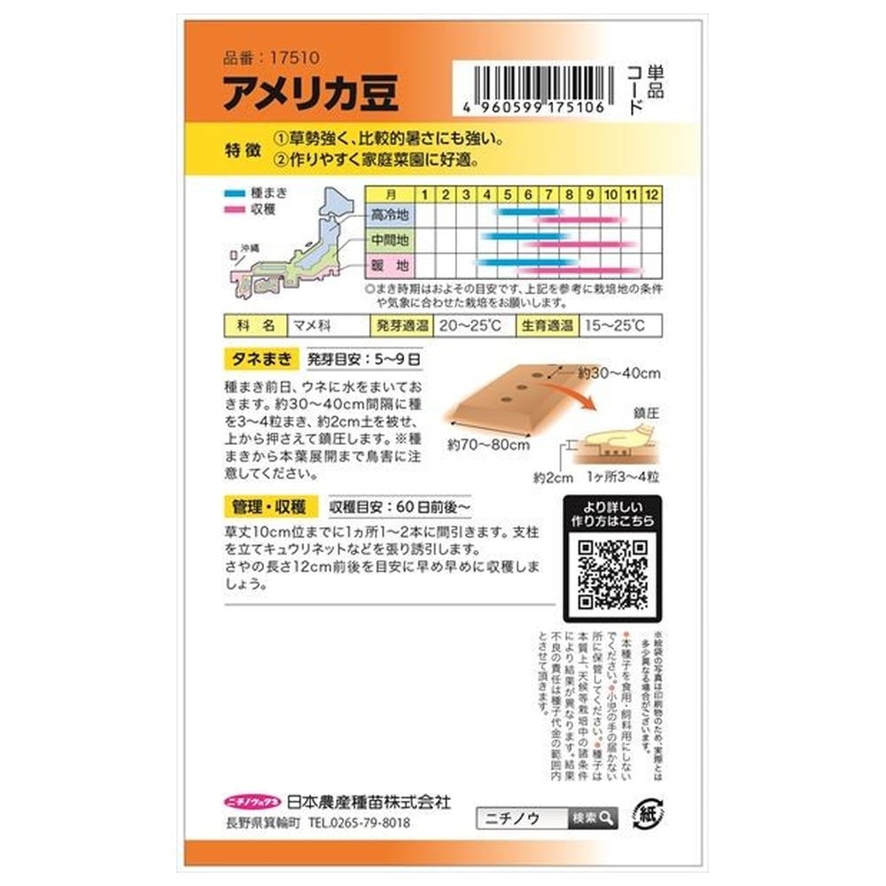 いんげん アメリカ豆 1