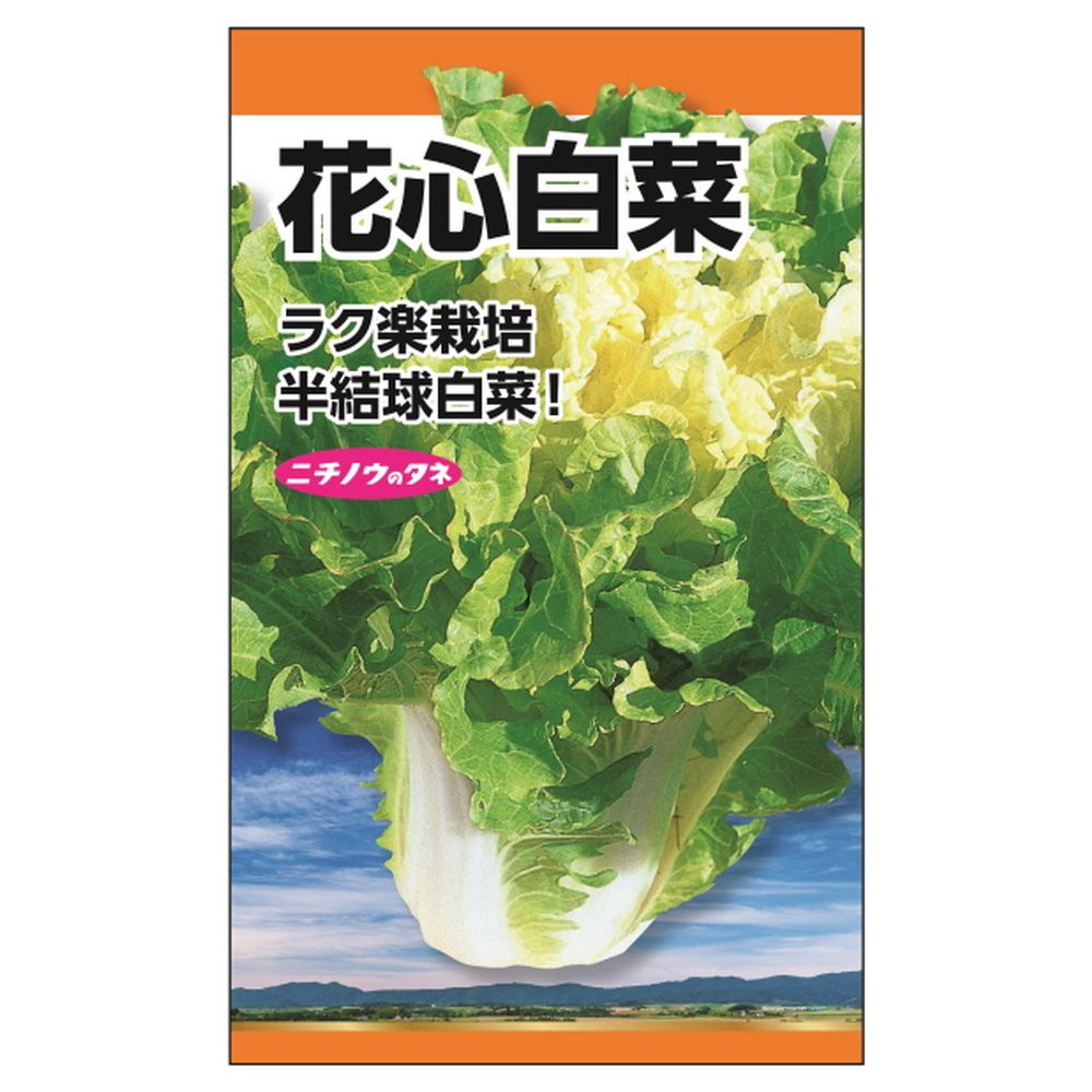 種・小袋　（6ml）　白菜　【花心白菜】