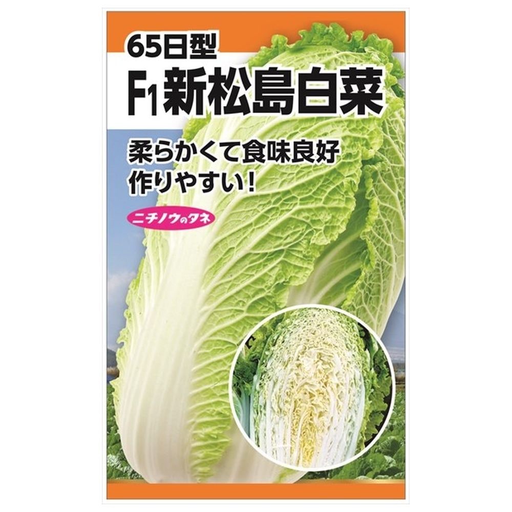 白菜 F1新松島白菜 