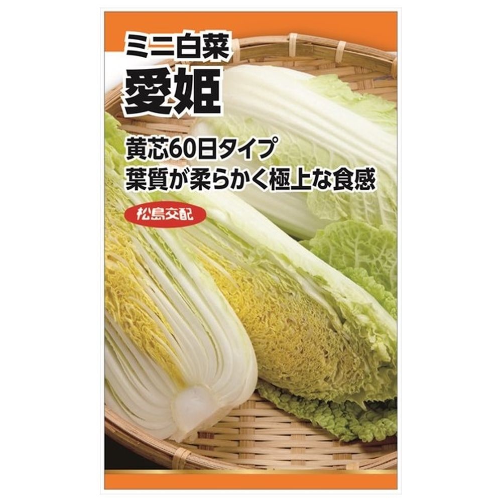 愛姫白菜】　種・小袋　白菜　【松島交配　（1.5ml）