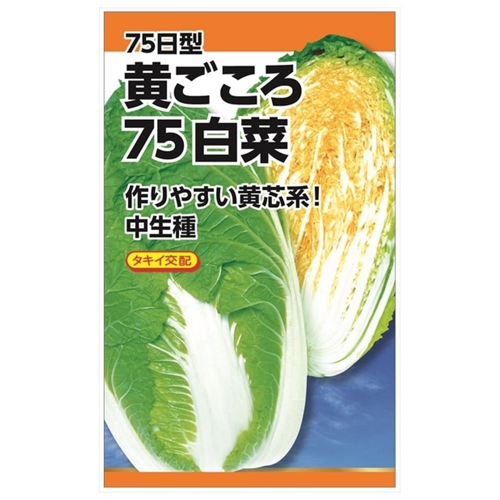 宅送] 白菜 黄ごころ75 20ｍｌタキイ交配