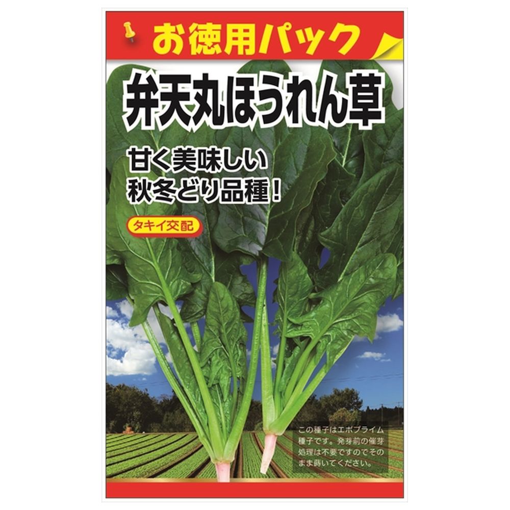 ホウレンソウ 弁天丸ほうれん草 