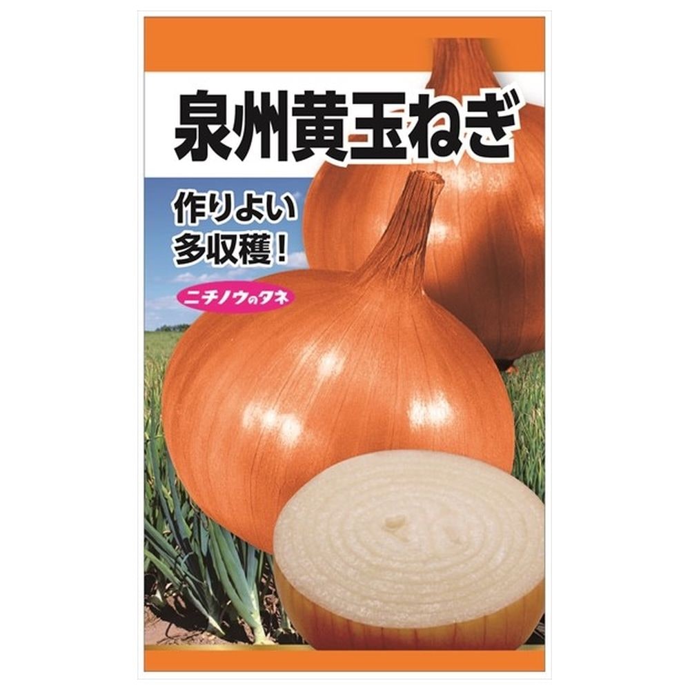 たまねぎ 【泉州黄玉ねぎ】 種・小袋 （6ml）