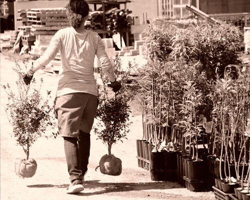 花ひろばオンラインへ苗木部へ行こう