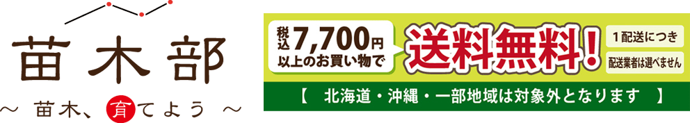 苗木部 ナーセリーポット φ40 30L 持ち手付 ブラック | 苗木部 本店 By 花ひろばオンライン