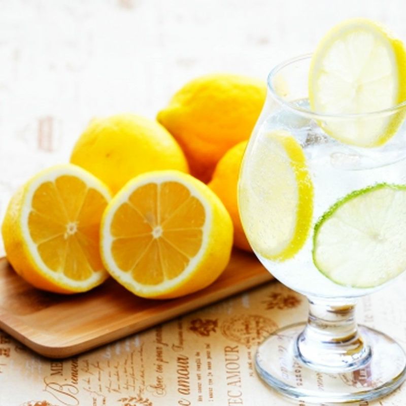 柑橘 レモン 種なしレモン 苗 販売 苗木部 By 花ひろばオンライン