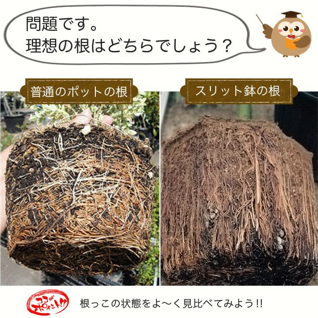 000000001604-04-l.jpg?t=