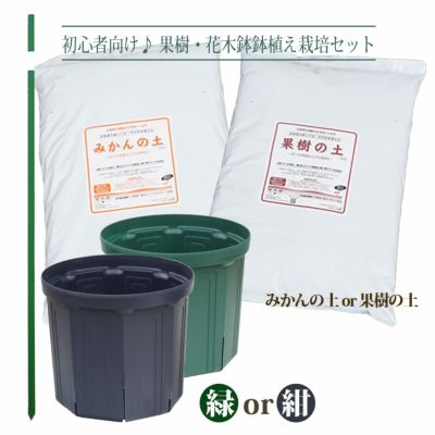 初心者向け 果樹 花木鉢植え栽培セット 資材 果樹苗 苗木部 本店 By 花ひろばオンライン