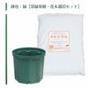 鉢色：緑【常緑果樹・花木栽培セット】