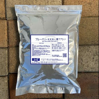 エチョータ ノーザンハイブッシュ系 ブルーベリー 苗 通販 苗木部