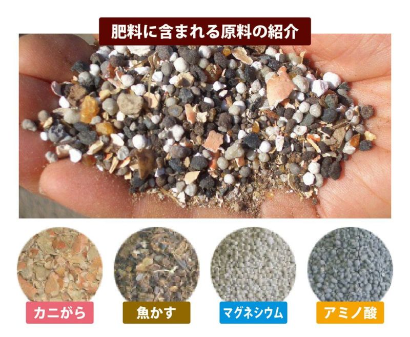 みかんの肥料 みかんがおいしくなる肥料 2kg 果樹の肥料 資材 果樹 肥料 ひりょう 有機肥料 ミカン 蜜柑 苗木部 本店 By 花ひろばオンライン