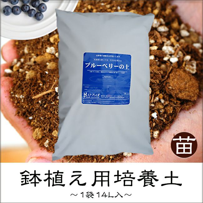 ブルーベリー 専用 ハイポネックスジャパン ブルーベリーの土 5L 4977517057314 1個