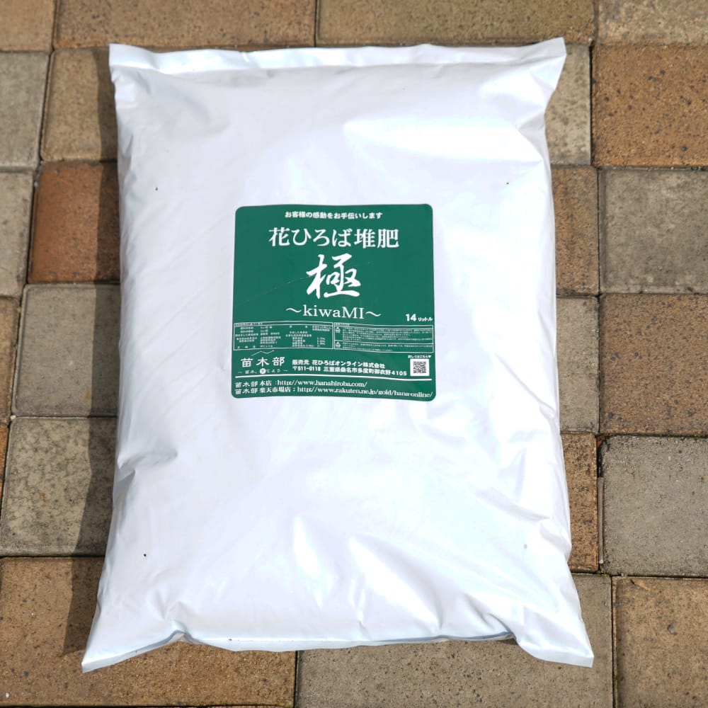 こんぺいとう ガクアジサイ 苗 販売 苗木部 By 花ひろばオンライン
