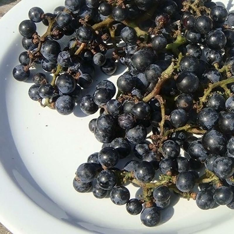 000000001846-06-l.jpg?t=