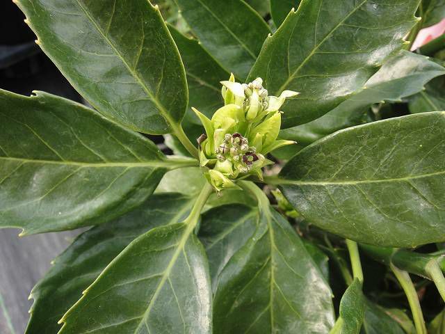 000000002730-02-l.jpg?t=