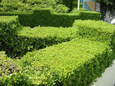 000000002737-06-l.jpg?t=