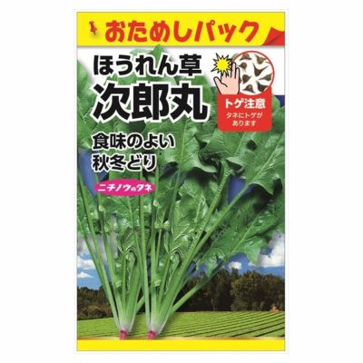 野菜 苗 おかわかめ 雲南百薬 アカザカズラ 4号ポット苗 食べる緑のカーテン