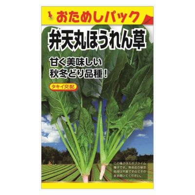 夏どりほうれん草 苗 販売 苗木部 By 花ひろばオンライン