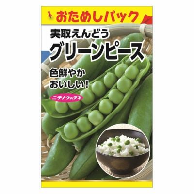 えんどう スナップえんどう(つるあり・白花) 苗 おすすめ 苗木部