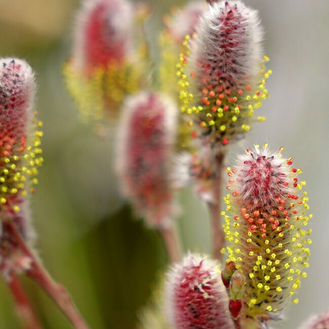 000000003486-03-l.jpg?t= 000000003486-03-l.jpg?t=