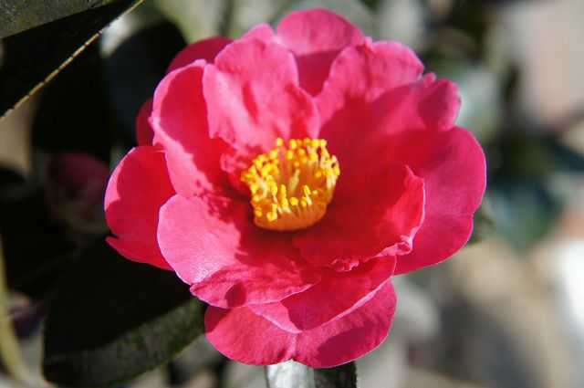 000000003626-01-l.jpg?t=