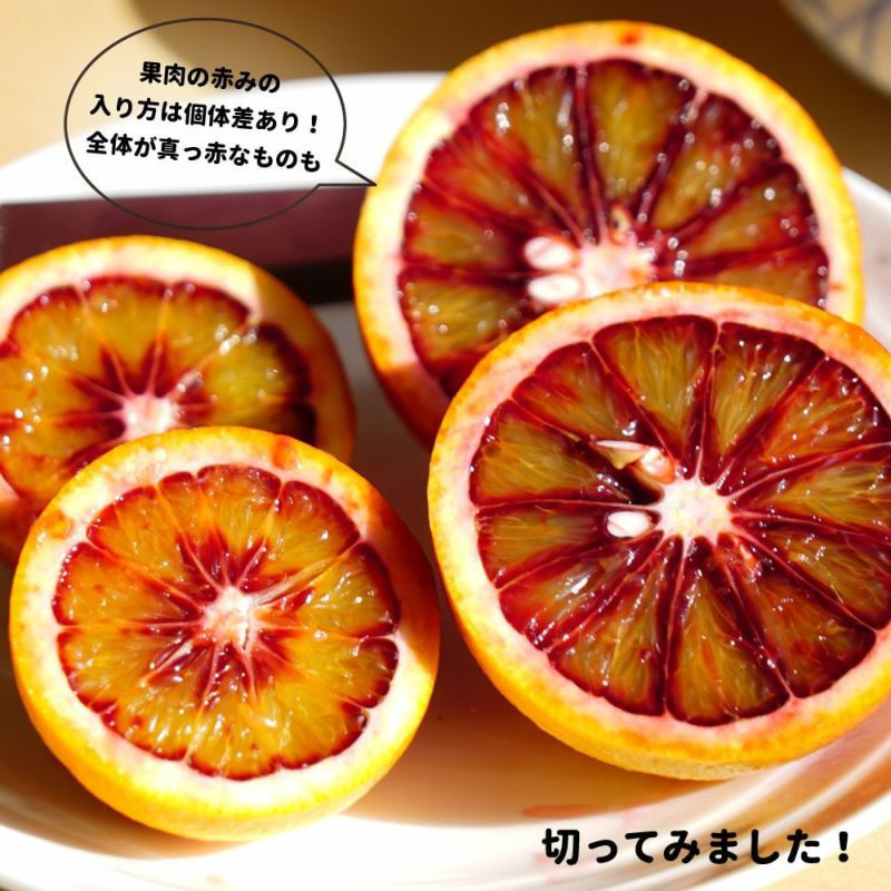 柑橘 ブラッドオレンジ モロのおすすめ 苗木部 By 花ひろばオンライン