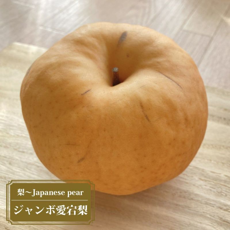①*ஐ幸水と豊水・新高のかけ合わせ種*:ஐ接木・ジャンボ梨