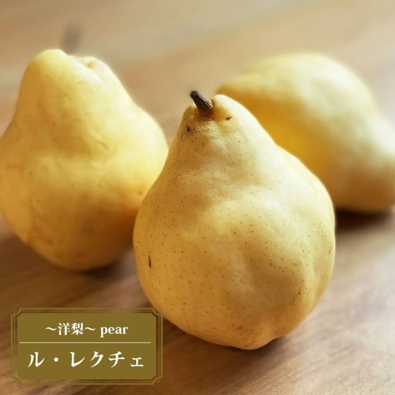洋梨　苗木二本セット　ラフランス、ルレクチェ セイヨウナシ（西洋梨）2種受粉樹セット：ラ・フランスとル