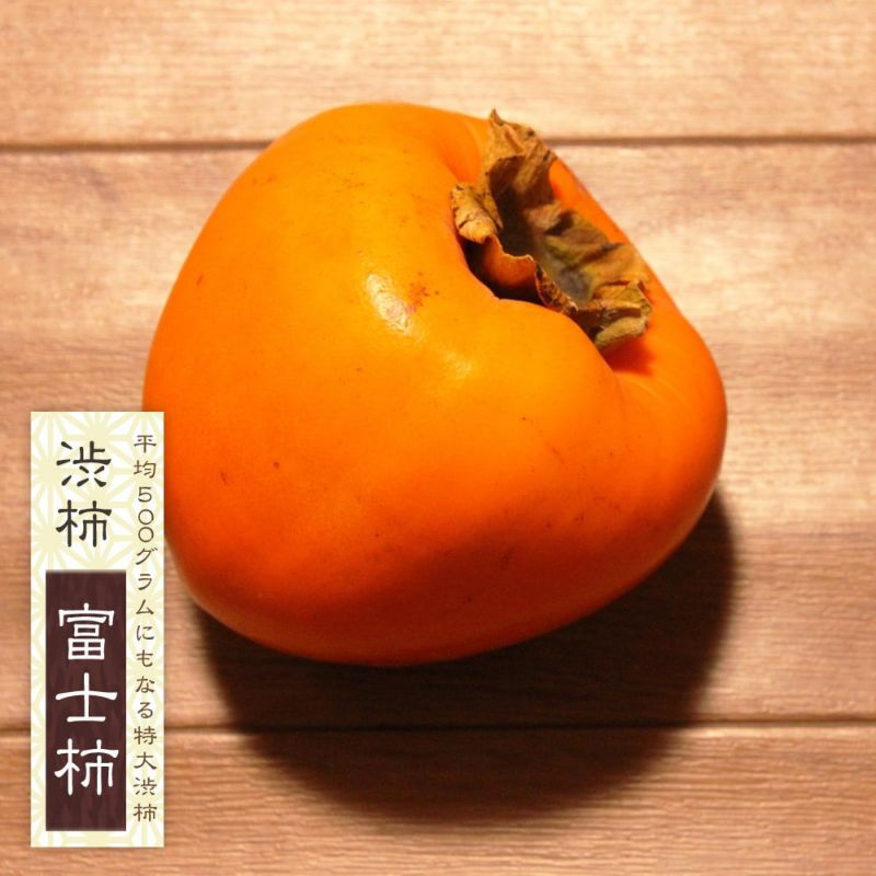 あんぽ柿に最適 大蜂屋柿 苗木 - 野菜