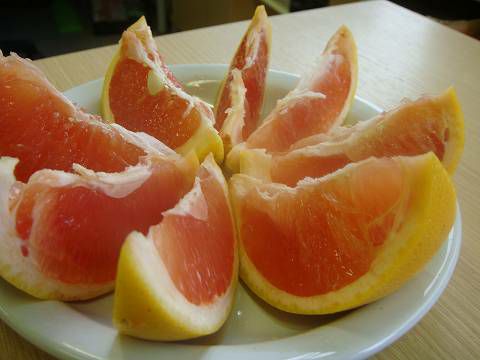 グレープフルーツ ルビー 5年生 大苗 000000006082-01-l.jpg?t=