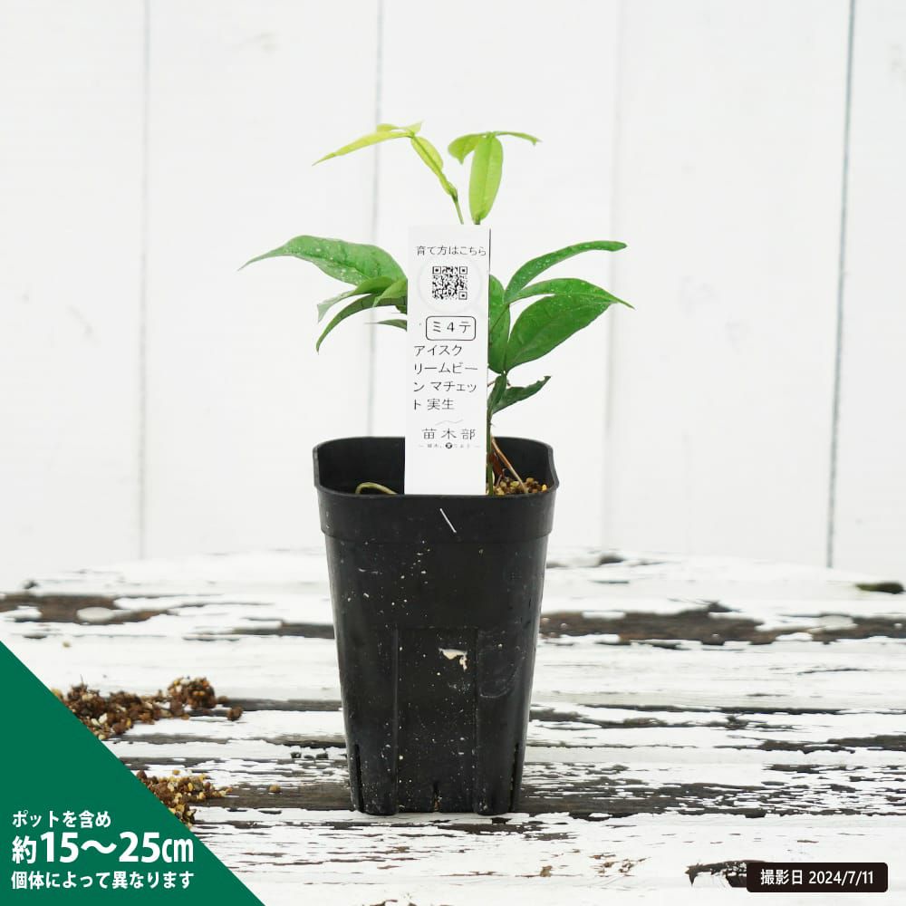 000000107488-03-l.jpg?t=