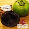 Amazon.co.jp: ブラックサポテ 熱帯果樹 苗木 実生 7号鉢